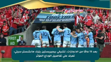 بعد 13 عامًا من الإنجازات، تشيكي بيجيريستين يترك مانشستر سيتي: تعرف على تفاصيل الوداع المؤثر